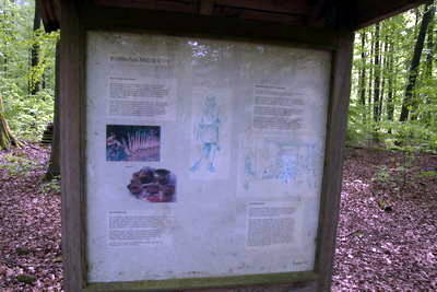 Villa Rustica (Wamboltsches Schlößchen)