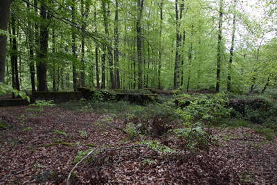 Villa Rustica (Wamboltsches Schlößchen)