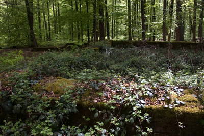 Villa Rustica (Wamboltsches Schlößchen)