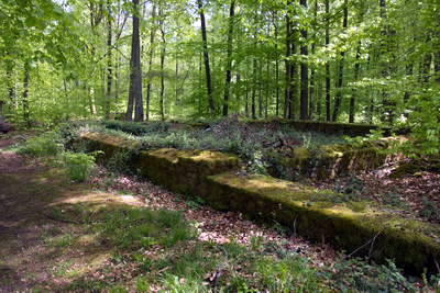 Villa Rustica (Wamboltsches Schlößchen)