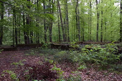 Villa Rustica (Wamboltsches Schlößchen)