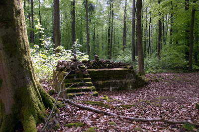 Villa Rustica (Wamboltsches Schlößchen)