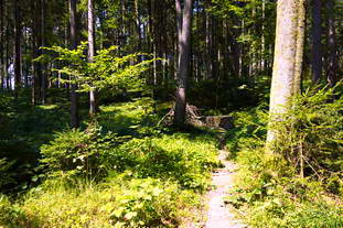 Villa Rustica Biberach an der Riß