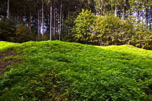 Villa Rustica Engen-Bargen