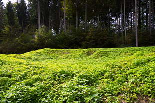 Villa Rustica Engen-Bargen