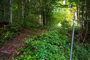 Villa Rustica Engen-Bargen