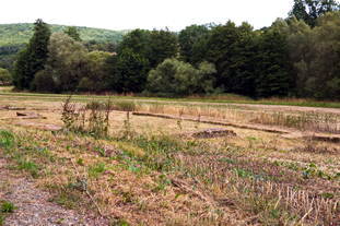 Villa Rustica Hefersweiler