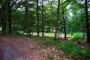 Villa Rustica Herschweiler-Pettersheim