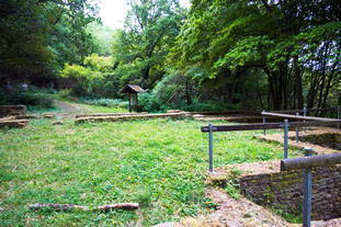 Villa Rustica Herschweiler-Pettersheim