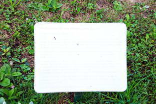 Villa Rustica Hoheneck