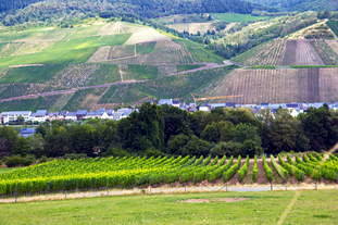 Villa Rustica Kindel