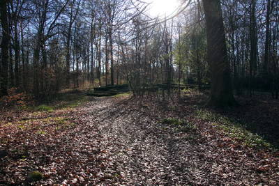 Villa Rustica Koblenzer Stadtwald