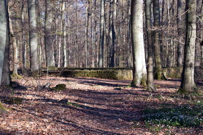 Villa Rustica Koblenzer Stadtwald