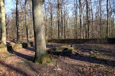 Villa Rustica Koblenzer Stadtwald