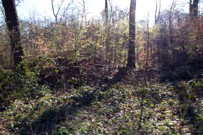 Villa Rustica Koblenzer Stadtwald