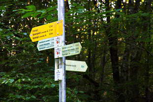 Villa Rustica Laucherthal