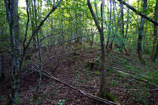 Villa Rustica Laucherthal