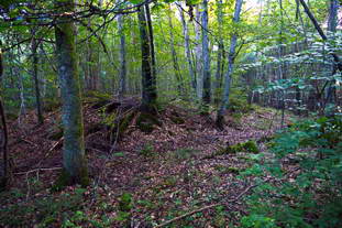 Villa Rustica Laucherthal