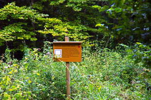 Villa Rustica Laucherthal