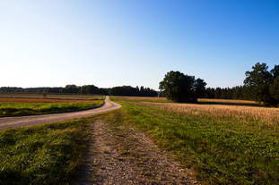 Villa Rustica Laucherthal