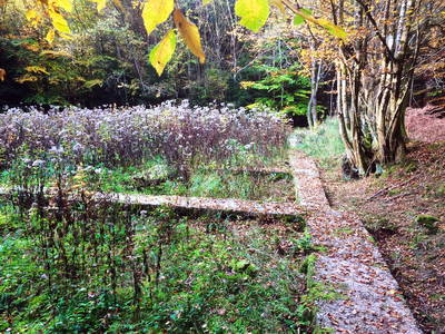 Villa Rustica Leiwen