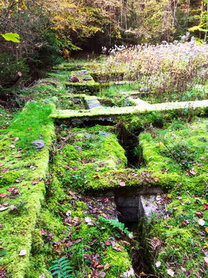 Villa Rustica Leiwen