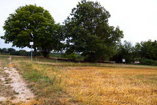 Villa Rustica Lörrach-Brombach