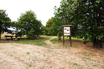 Villa Rustica Rockenhausen