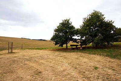 Villa Rustica Rockenhausen
