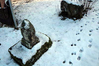 Villa Rustica Rosenfeld