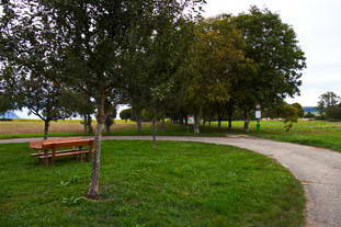 Villa Rustica Tengen-Büßlingen - Freilichtmuseum