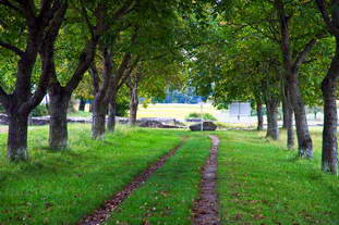 Villa Rustica Tengen-Büßlingen - Freilichtmuseum