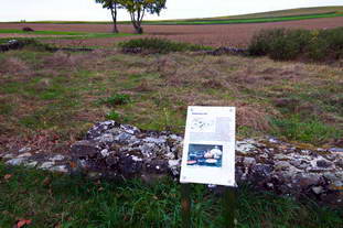 Villa Rustica Tengen-Büßlingen - Freilichtmuseum