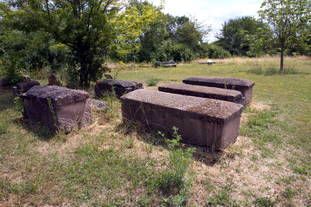 Villa Rustica Wachenheim