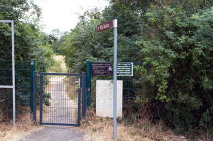 Villa Rustica Wachenheim