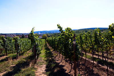 Villa Rustica Weilberg