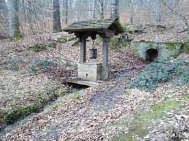 Villa Rustica Wiesenbach Brunnen