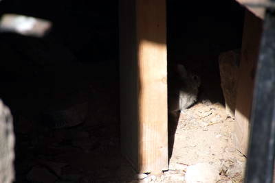 Villa Rustica Winningen