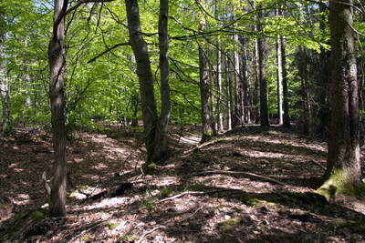 Wachtposten WP 2-25a (Steinturm) Im Pohler Wäldchen