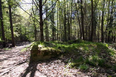 Wachtposten WP 2-25a (Steinturm) Im Pohler Wäldchen