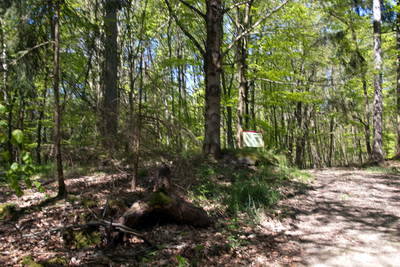 Wachtposten WP 2-25a (Steinturm) Im Pohler Wäldchen