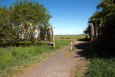 Wachturm am Limes 3-26