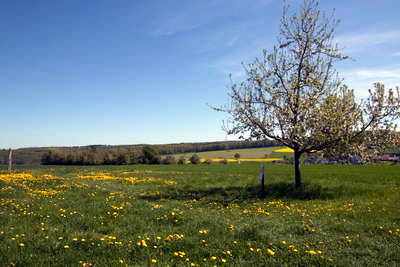 Wachturm am Limes 3-26