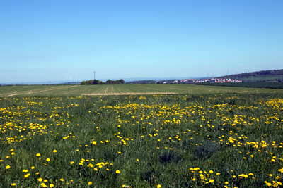 Wachturm am Limes 3-26