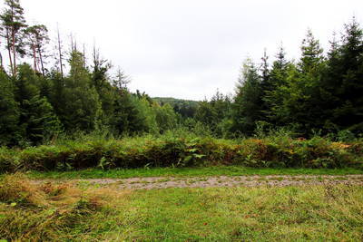 rekonstruierter Limes Wachturm in Großerlach (Heidenbuckel)