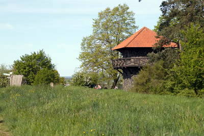rekonstruierter Wachturm 4-49 am Limes mit Limespalisade