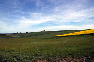 rekonstruierter Wachturm 4-49 am Limes mit Limespalisade