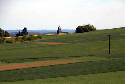rekonstruierter Wachturm 4-49 am Limes mit Limespalisade