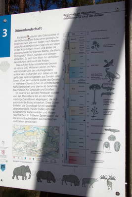 restauriertes Teilstück einer Römerstraße in Rödermark