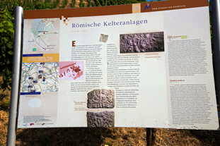 römische Kelteranlage Brauneberg